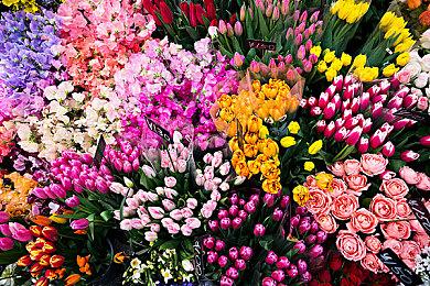 《守望先锋》2025年更新内容前瞻 全新核心玩法公布